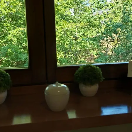 Apartament Incantevole Con Ampio Balcone Sella Nevea